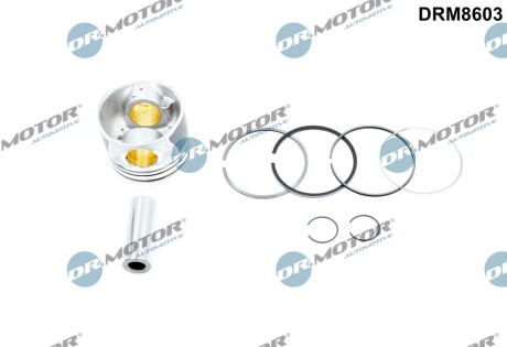 DRM8603 Поршень DR.MOTOR підбір по vin на Brocar