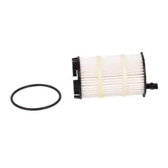 BF0423470061 Фільтр масляний(Curing paper, AEM sealing ring) BAPMIC подбор по vin на Brocar