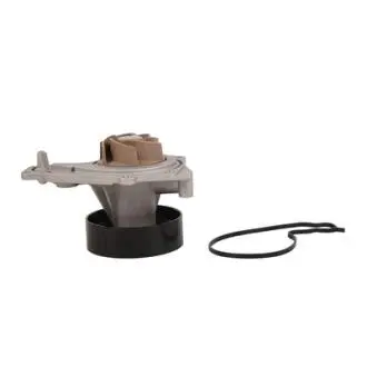 BF0426350129 Водяний насос двигуна BAPMIC підбір по vin на Brocar