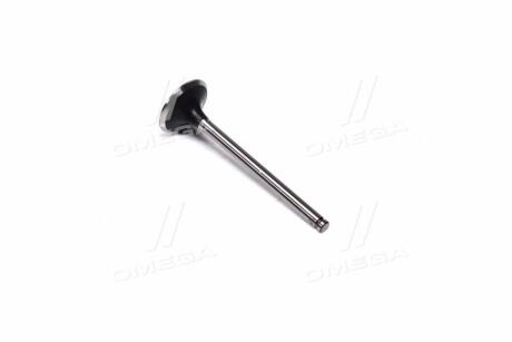 8538034 Клапан впускний IN RENAULT 1,9dCi F9Q 35.3x7x110.9 (вир-во SM) SM підбір по vin на Brocar