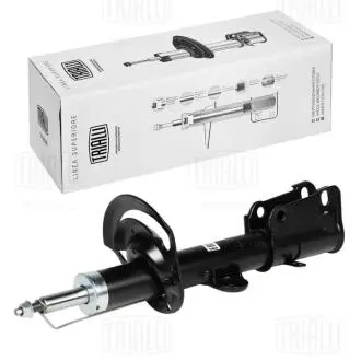 AG03058 Амортизатор Dodge Caravan (07-)/Chrysler Voyager (07-) перед. (AG 03058) Trialli TRIALLI подбор по vin на Brocar