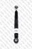 Амортизатор підвіски задній Citroen Berlingo Multispace (08-) (215872G) SIAAM 215872G