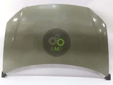APVW5003C Капот Volkswagen Polo (9N3), 2005-2009 AMParts APVW5003C AMParts підбір по vin на Brocar