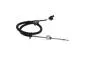 0986259230 BOSCH DB Датчик температури ВГ C-CLASS (W205), C-CLASS T-Model (S205), E-CLASS (W213), GLC Coupe (C253) BOSCH підбір по vin на Brocar
