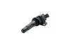 F01R00A113 BOSCH MG Котушка запалювання MG ZS 1.5 17- BOSCH підбір по vin на Brocar