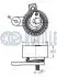 541795 RUVILLE CHEVROLET Ролик натяжной Lacetti, Captiva, Opel Antara 2.0D RUVILLE підбір по vin на Brocar