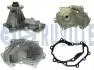 RUVILLE RENAULT Помпа воды MASTER PRO dCi 120/160 04-10 561614