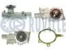 RUVILLE FORD Помпа воды Escort 1.6,1.8 91- 56669