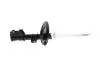 SSA10408 KAVO PARTS FIAT Амортизатор газ.передн.прав.500 07-,Ford Ka 08- KAVO підбір по vin на Brocar