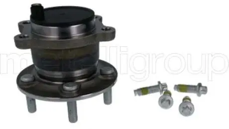 6198184 CIFAM FORD Маточина колеса, задня KUGA II 13- CIFAM підбір по vin на Brocar