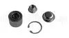 CIFAM SUZUKI підшипник маточини Ignis 00- 619-8100