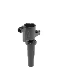 ZS600 BERU FORD Котушка запалювання C-MAX 2.0 15-, MONDEO V 2.0 14-, MONDEO V 2.5 15- BorgWarner подбор по vin на Brocar