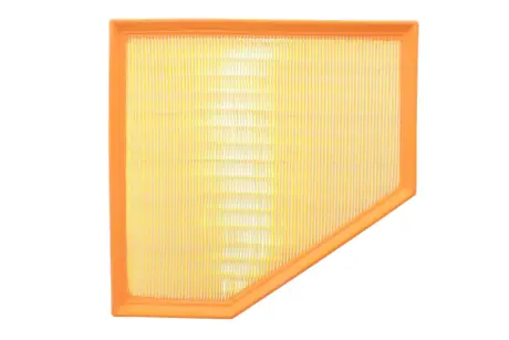 AF1985 Фільтр повітряний ALPHA FILTER підбір по vin на Brocar