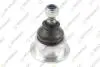 TEKNOROT BMW Кульова опора нижн. 3/E46 B-607