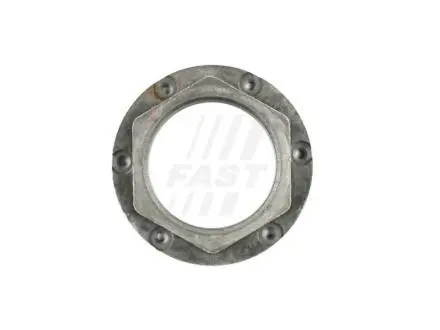 FT26039 Nut piasty FAST подбор по vin на Brocar
