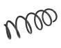 JAPANPARTS DB пружина передня L=405mm W169/245 ZC3290H