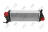 Iнтеркулер MB Citan/Renault Kangoo 1.5 dCi 08- 0420180011
