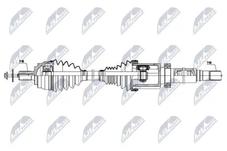 NPWVV161 NTY ПІВВІСЬ NTY підбір по vin на Brocar