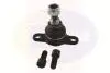CBJ7005 CBJ7005 Comline Кульова опора COMLINE підбір по vin на Brocar