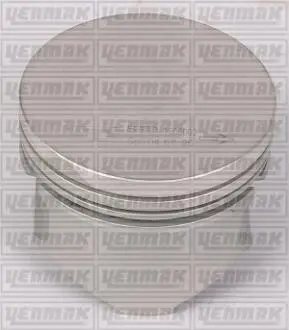 3104155000 YENMAK Поршень с кольцами і пальцем RENAULT Kangoo 1.2 (размер отв. 69 / STD) (DF 7 700/701/702/706/710/720/722/726/720/730/726) YENMAK підбір по vin на Brocar