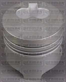 3104163000 YENMAK Поршень с кольцами і пальцем (размер отв. 80,00/STD) RENAULT Kangoo 1.9D (F8Q.630/632/662) YENMAK підбір по vin на Brocar