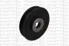 KRAFTVOLL FIAT шків колінчастого вала Scudo 99-,Citroen Berlingo,C5/8,Jumpy,Peugeot 206/807,Expert 15050049