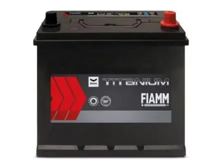 D3195 Аккумулятор BLACK TITANIUM ASIA ПРАВ [+] 12V 95AH 760A 305*173*221 FIAAM подбор по vin на Brocar