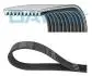 10PK1457HD Автозапчастина DAYCO підбір по vin на Brocar