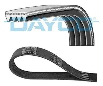 4PK798EE Поліклиновий ремінь DAYCO підбір по vin на Brocar