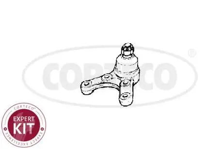 49395988 Автозапчастина CORTECO подбор по vin на Brocar