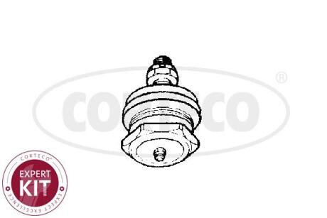 49395845 Автозапчастина CORTECO підбір по vin на Brocar