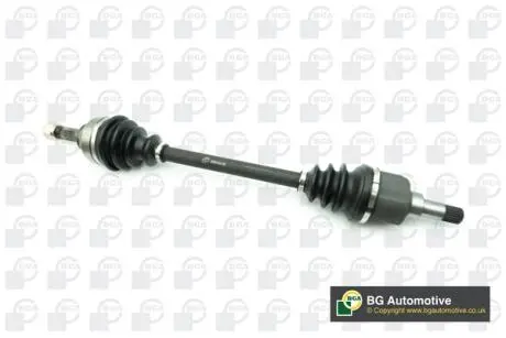 DS1420L Піввісь BGA підбір по vin на Brocar