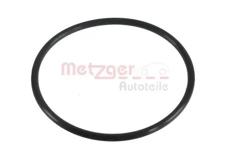 2430137 Ущільнювальне кільце METZGER підбір по vin на Brocar