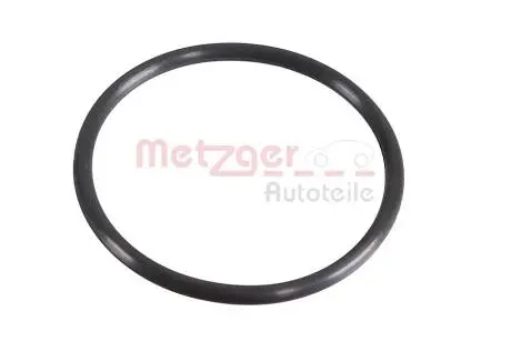 2430134 Ущільнювальне кільце METZGER підбір по vin на Brocar