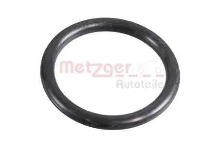 2430065 Автозапчастина METZGER подбор по vin на Brocar
