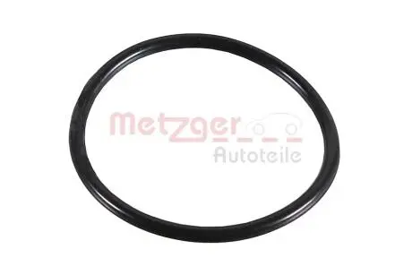 2430038 Автозапчастина METZGER підбір по vin на Brocar