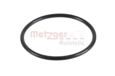 2430006 Автозапчастина METZGER підбір по vin на Brocar