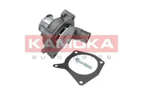 T0131 Насос охолоджувальної рідини, охолодження двигуна KAMOKA підбір по vin на Brocar