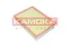 F248801 Автозапчастина KAMOKA підбір по vin на Brocar