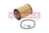 F125801 Оливний фільтр KAMOKA підбір по vin на Brocar
