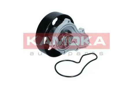 T0304 Насос охолоджувальної рідини, охолодження двигуна KAMOKA подбор по vin на Brocar