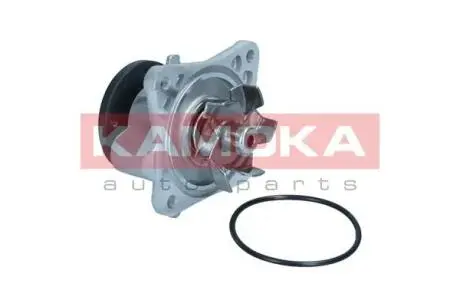 T0309 Насос охолоджувальної рідини, охолодження двигуна KAMOKA підбір по vin на Brocar