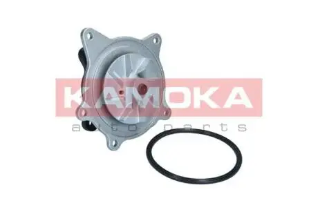 T0318 Насос охолоджувальної рідини, охолодження двигуна KAMOKA підбір по vin на Brocar
