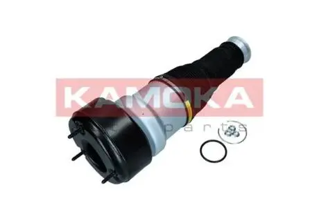 2079039 Пневморесора, ходова частина KAMOKA підбір по vin на Brocar