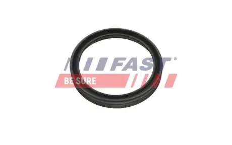 FT48956 Ущільнювальне кільце, шланг подачі наддувального повітря FAST підбір по vin на Brocar