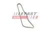 FT41808 Ланцюг привода FAST підбір по vin на Brocar