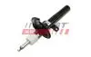 Амортизатор FT11261
