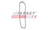 FT41805 Ланцюг привода FAST підбір по vin на Brocar