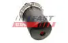 FT39124 Фільтр палива FAST підбір по vin на Brocar