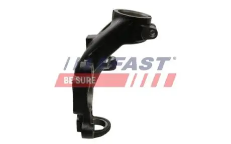 FT13570 Шийка осі, підвіска коліс FAST подбор по vin на Brocar